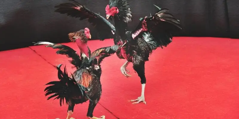 Thời gian thi đấu không giới hạn